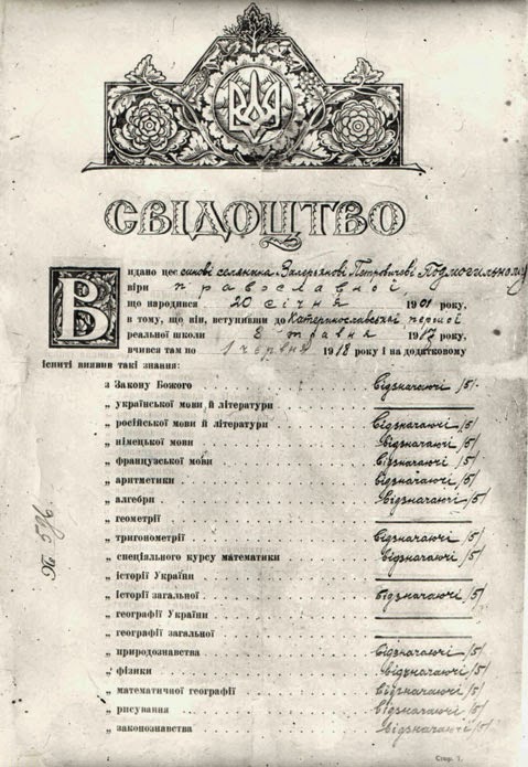pidmogiln 06