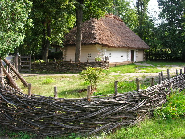 shewchenko 03