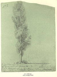 topolia