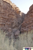 v15