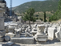 DSCF7825