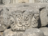 DSCF7875