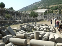 DSCF7891
