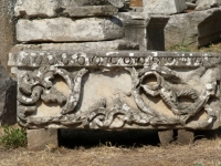 DSCF7893