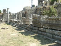 DSCF7897