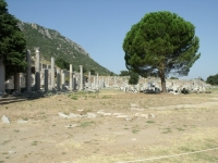 DSCF7900