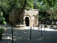 DSCF8114
