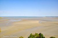 _DSC8527