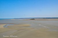 _DSC8531