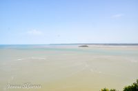 _DSC8588