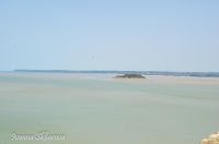 _DSC8630