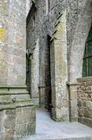 _DSC8575