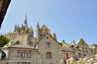 _DSC8677