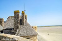 _DSC8686
