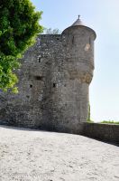 _DSC8696