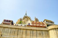 _DSC8704