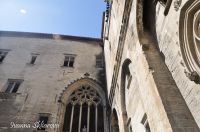 _DSC6004-min