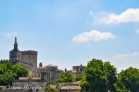 _DSC6151-min