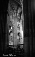 _DSC8998