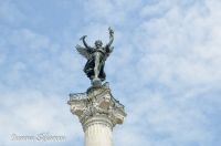 _DSC9025