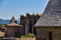 _DSC4919-4-min