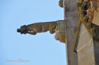_DSC5091-min