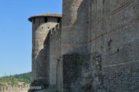 _DSC5171-4-min