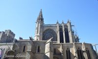 _DSC5217-min