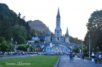 _DSC4228-min