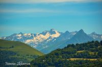 _DSC4094-min