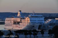 _DSC5591-min