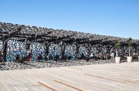 _DSC5726-2-min