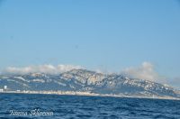 _DSC5918-2-min