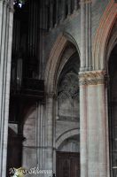 _DSC5970