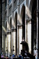 _DSC5976