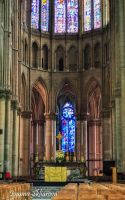 _DSC5981
