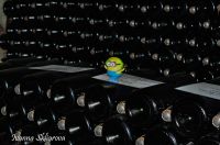 _DSC6089