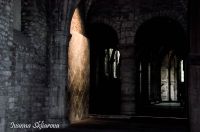 _DSC6197