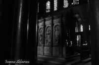 _DSC6203