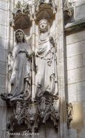 _DSC7839