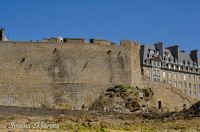 _DSC8261