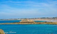 _DSC8312