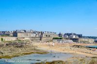 _DSC8365