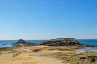 _DSC8387