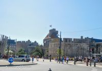 _DSC8440