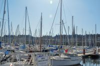 _DSC8459