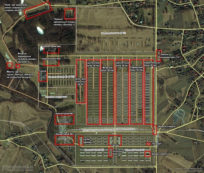 auschwitz birkenau
