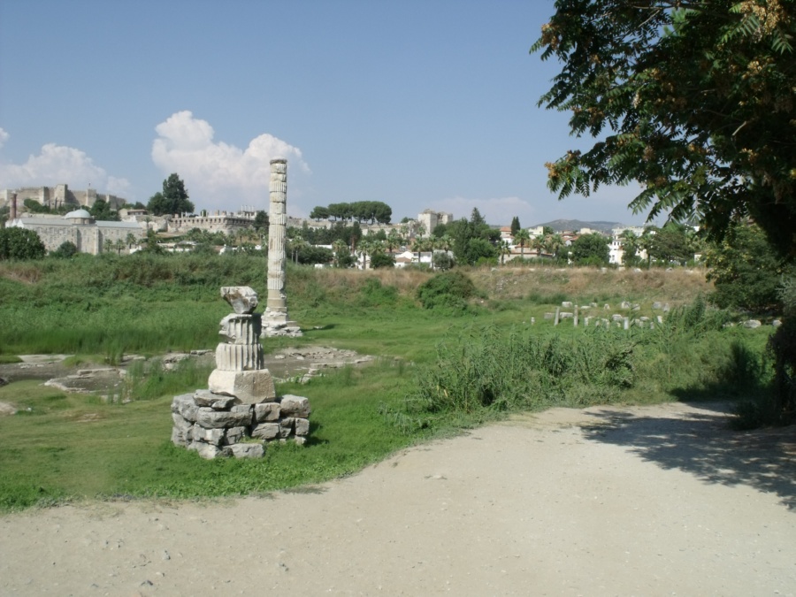 DSCF8144