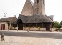 _DSC7361-min