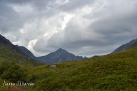 750_9382